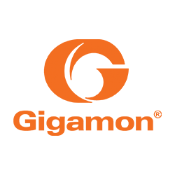 Gigamon